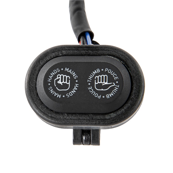 Image complémentaire de la pièce