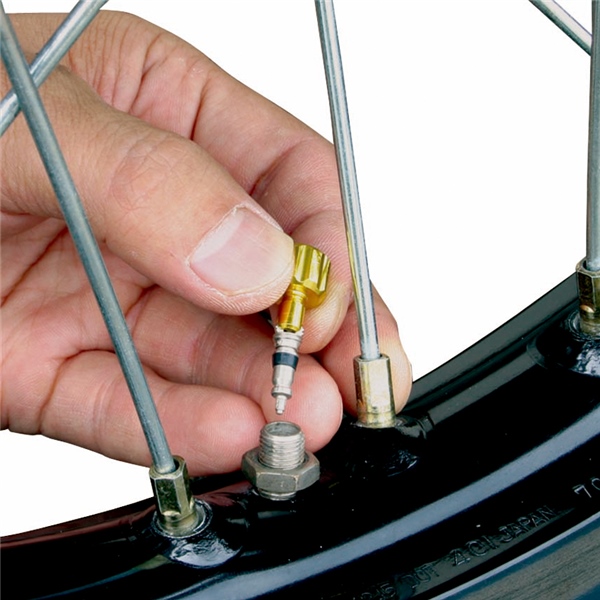 Image complémentaire de la pièce