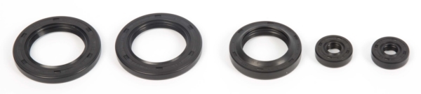 822142 VERTEX VertexWinderosa Oil Seal Sets POLARIS - 059405 OIL SEAL KIT POL VERTEXWINDEROSA Oil Seal Sets 
