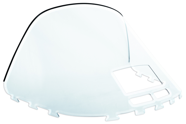 Windshield