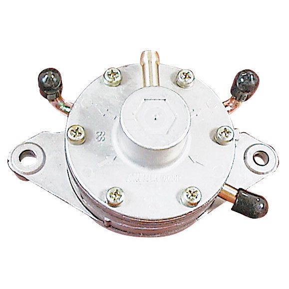 Snowmobile Double Fuel Pump