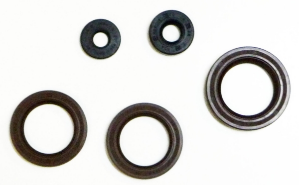 822362 VERTEX VertexWinderosa Oil Seal Sets CAN-AM (BRP), HONDA, JOHN DEERE - 159190 OIL SEAL KIT C-AM Oil Seal Sets 