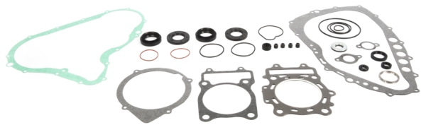 811800 VERTEX VertexWinderosa Complete Gasket Set with Oil Seals - 811 ARCTIC CAT - 159500 GASKET COMPL KIT W/OIL SEAL A/C Complete Gasket Set with Oil Seals - 811 