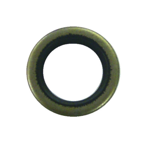 Oil Seal