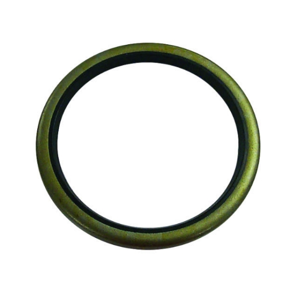 Oil Seal