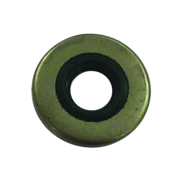 Oil Seal