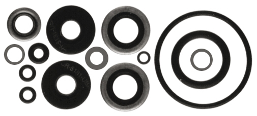 Lower Unit Gasket Kit 18-2656