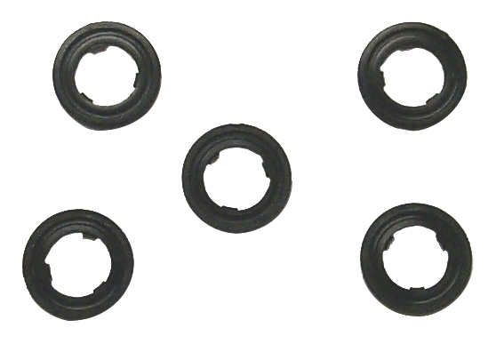Drain Plug Gasket Kit