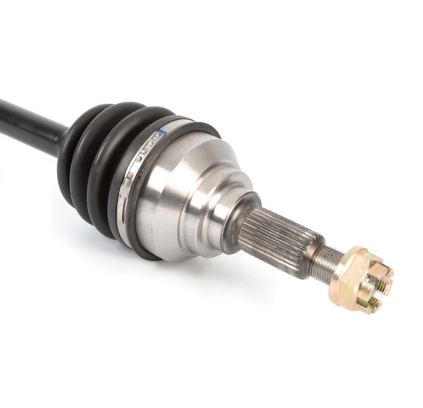 Image complémentaire de la pièce