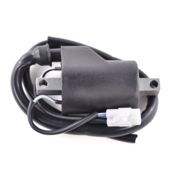 RM06133 KIMPEXHD Kimpex HD Ignition Coil POLARIS - 225101 IGNITION COIL POL KIMPEXHD Ignition Coil 