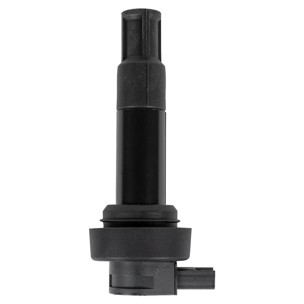 Image complémentaire de la pièce