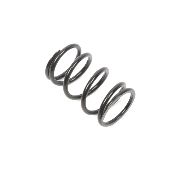 Primary Clutch Spring