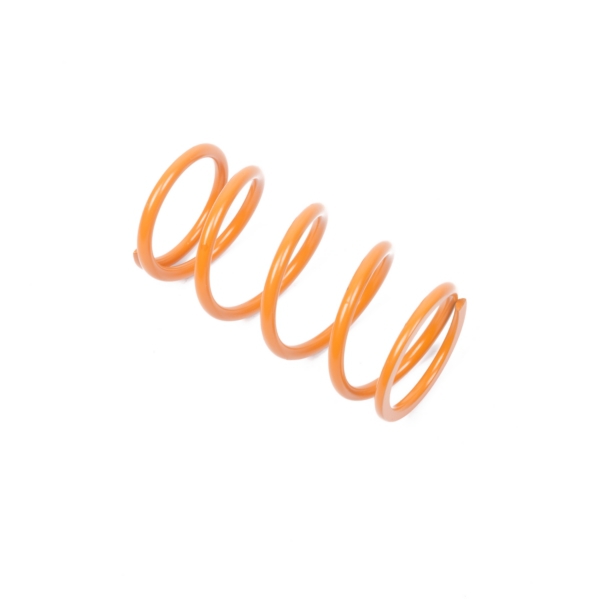Primary Clutch Spring