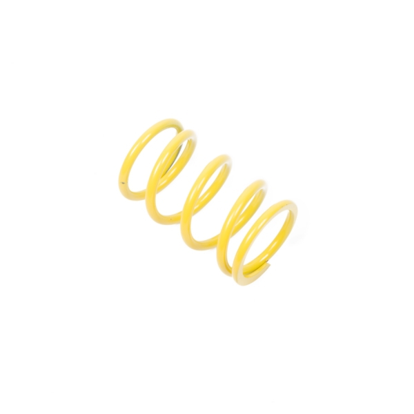 Primary Clutch Spring