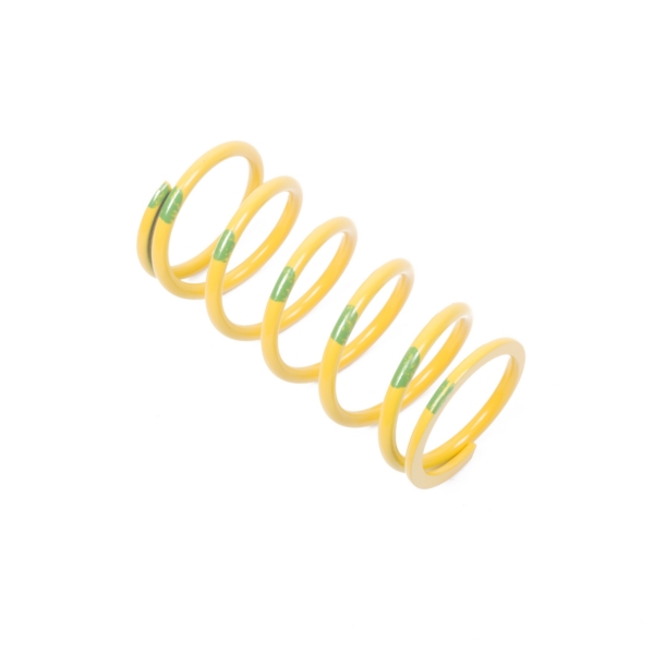 Primary Clutch Spring