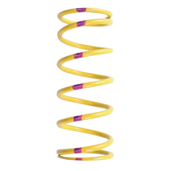 Primary Clutch Spring