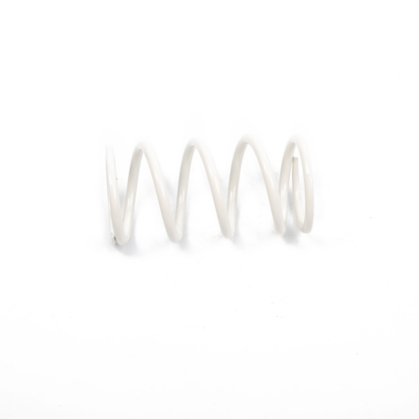 Primary Clutch Spring