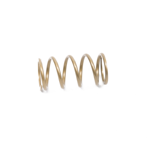 Primary Clutch Spring