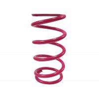 Primary Clutch Spring