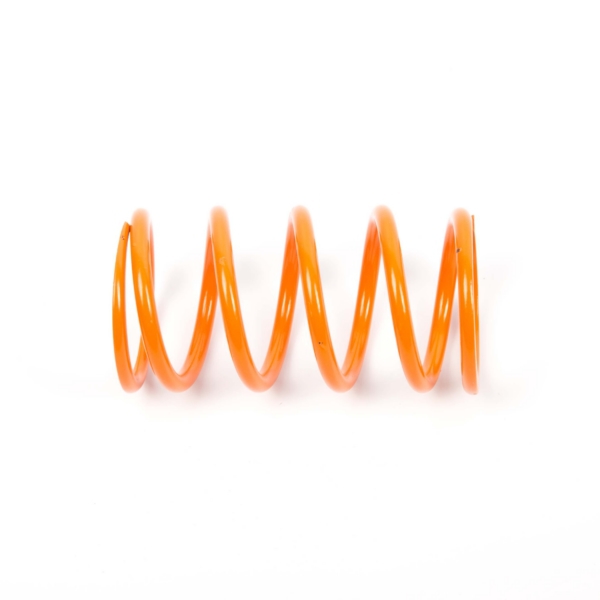 Primary Clutch Spring (Drive)