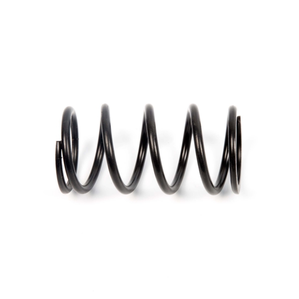 Primary Clutch Spring (Drive)