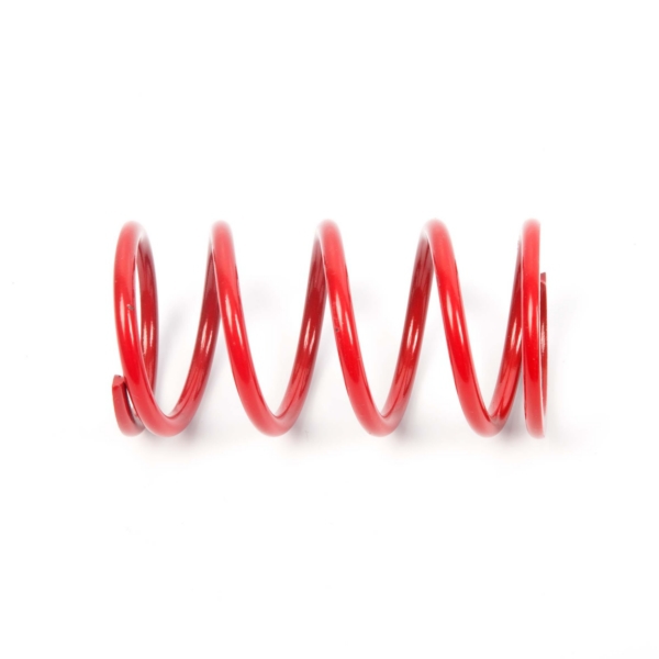 Primary Clutch Spring (Drive)
