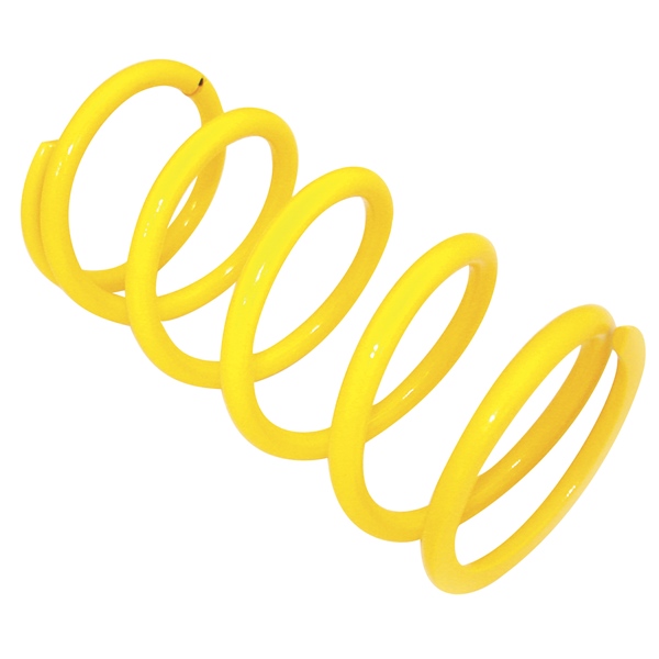 Secondary Clutch Spring (Driven)