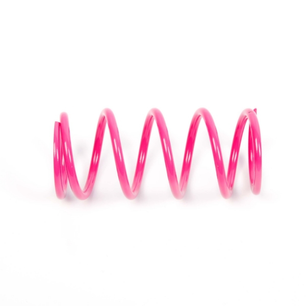 Primary Clutch Spring (Drive)