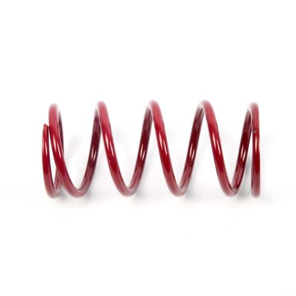 Primary Clutch Spring (Drive)