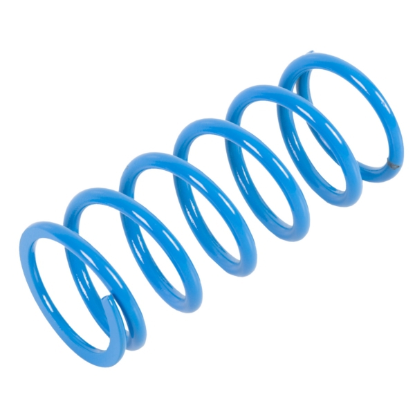 Primary Clutch Spring (Drive)