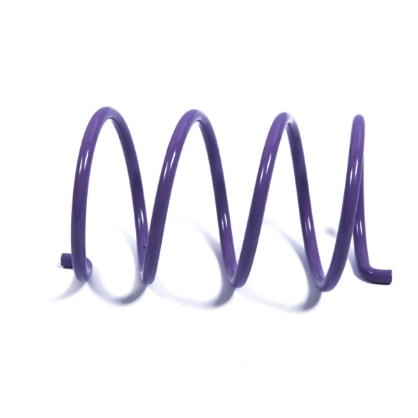 Secondary Clutch Spring (Driven)