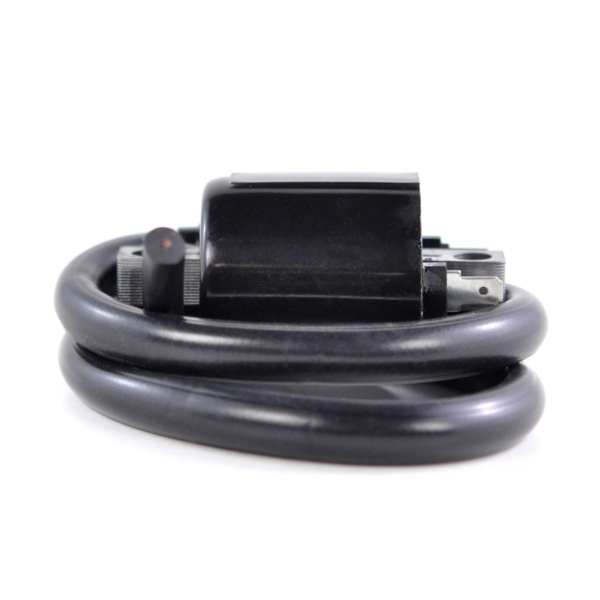 Image complémentaire de la pièce