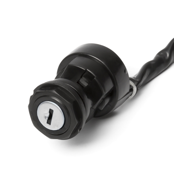 Image complémentaire de la pièce