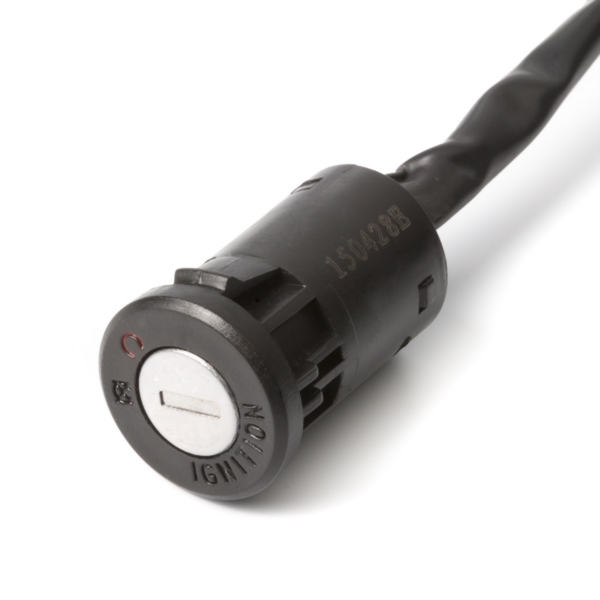 Image complémentaire de la pièce