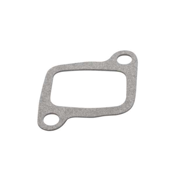 Exhaust Gasket