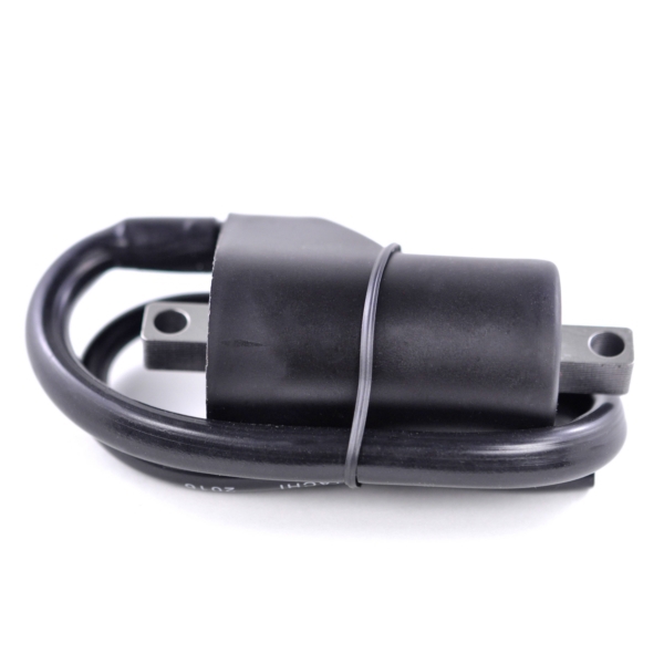 RM06109 KIMPEXHD Kimpex HD Ignition Coil POLARIS - 289030 IGNITION COIL EXT W/CAP POL KIMPEXHD Ignition Coil 