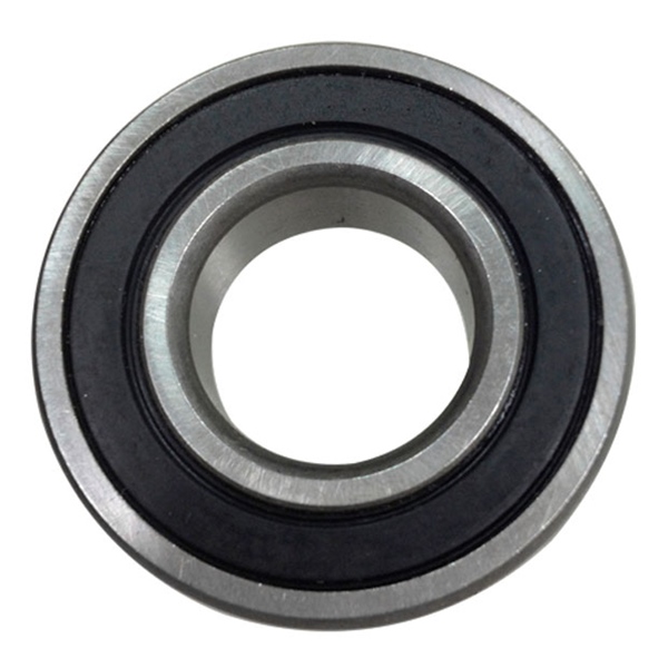 6004-2RS Bearing