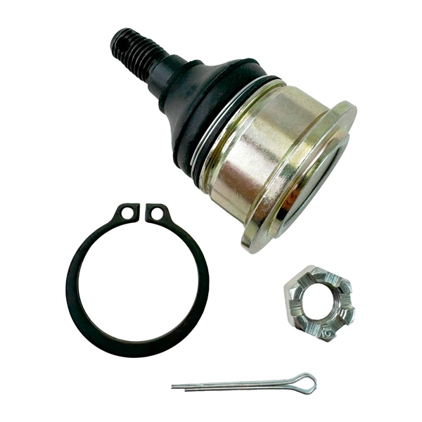 Image complémentaire de la pièce