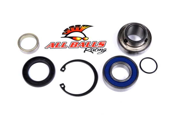 Drive Shaft Bearing and Seal Kit