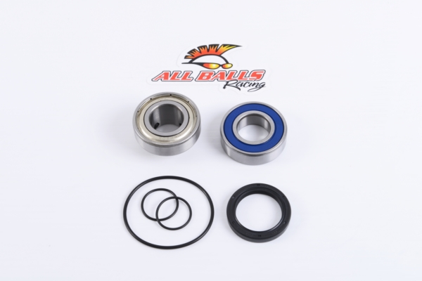 Drive Shaft Bearing and Seal Kit