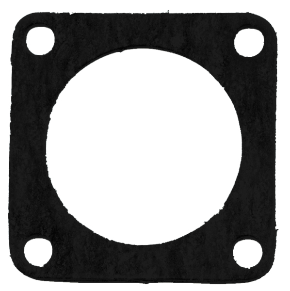 Exhaust Gasket