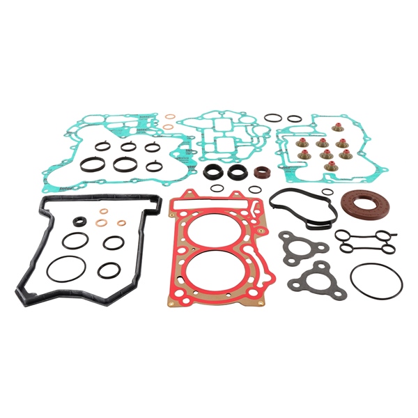 711322 VERTEX VertexWinderosa Professional Complete Gasket Sets with Oil Seals SKI-DOO - 304795 GASKET COMPL KIT W/OIL SEAL SKIDOO Professional Complete Gasket Sets with Oil Seals 