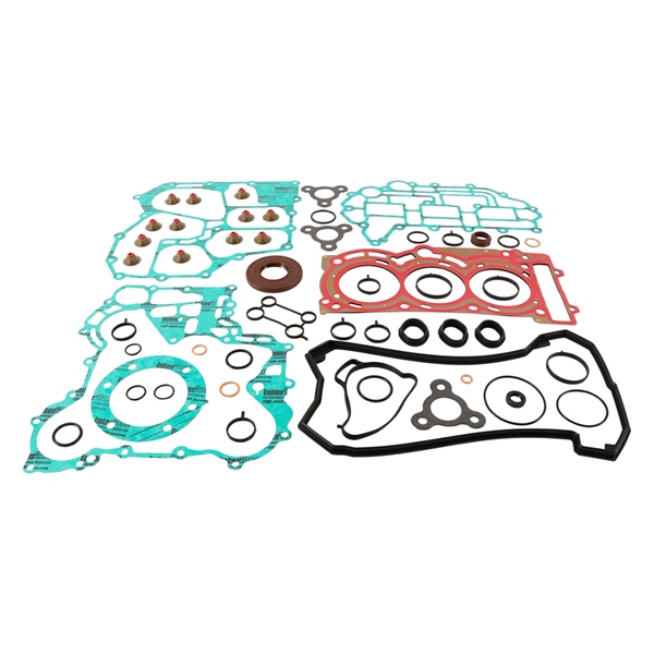 Professional Complete Gasket Sets with Oil Seals