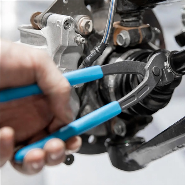 Image complémentaire de la pièce