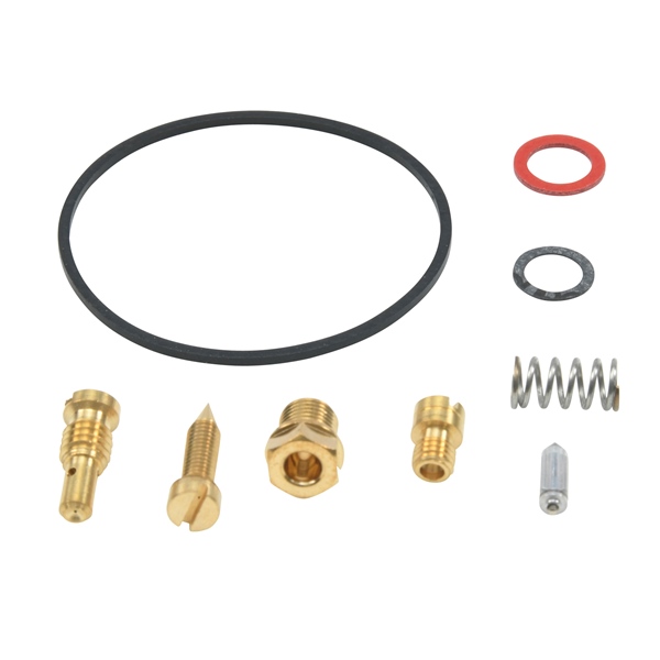 Carburetor Repair Kit