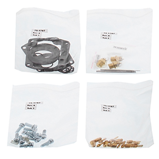 Carburetor Repair Kit