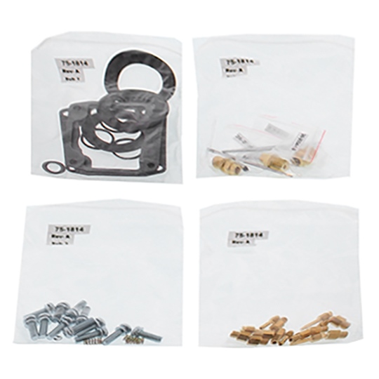Carburetor Repair Kit