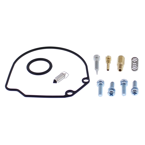 Carburetor Repair Kit