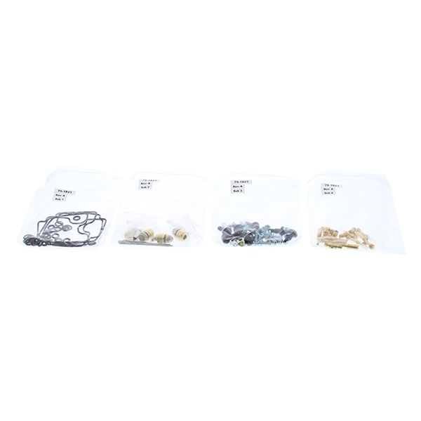 Carburetor Repair Kit