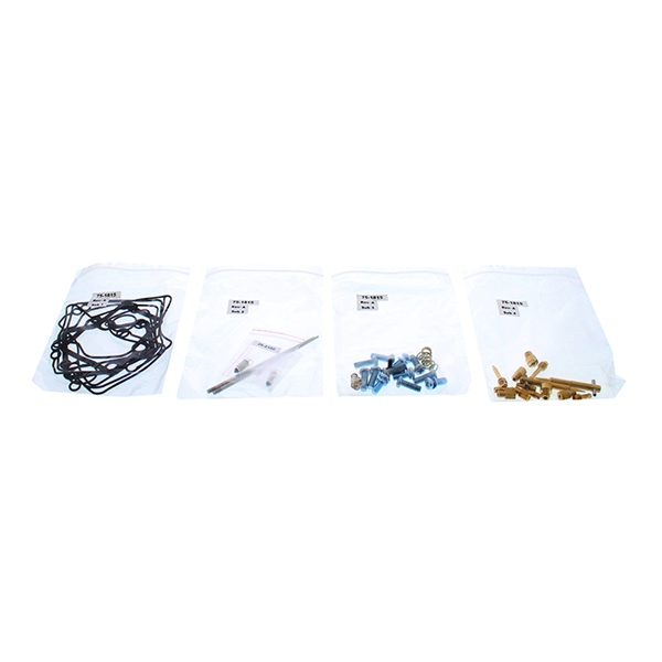Carburetor Repair Kit